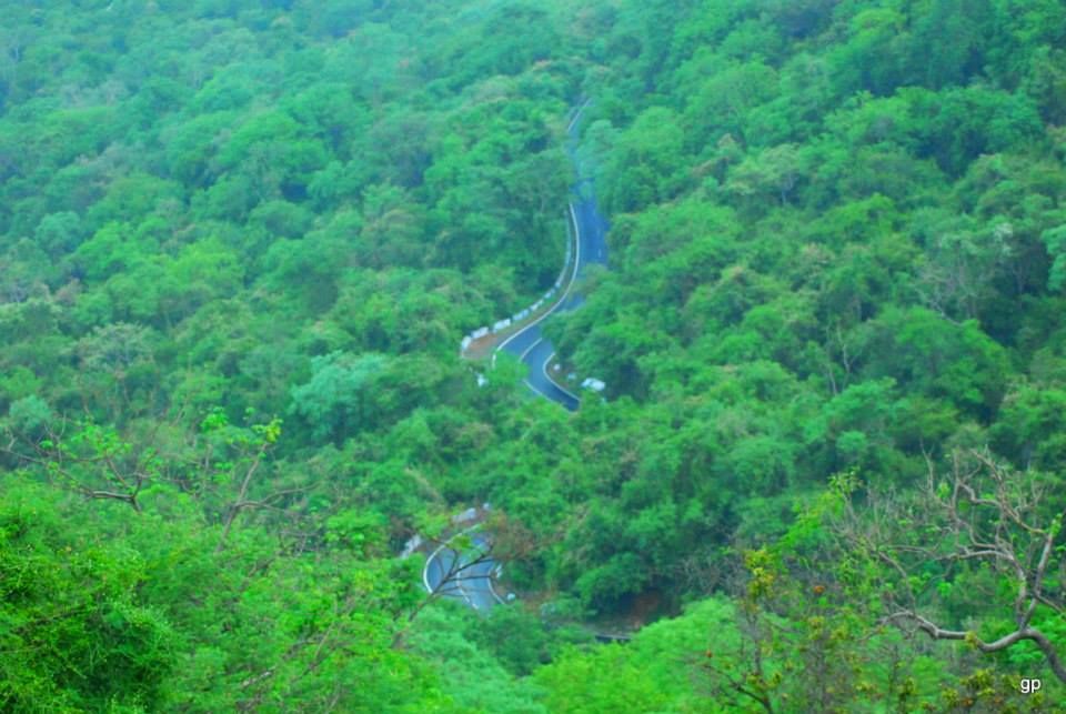 Photo of Ooty: The South Indian irony 10/15 by Sagnik Basu