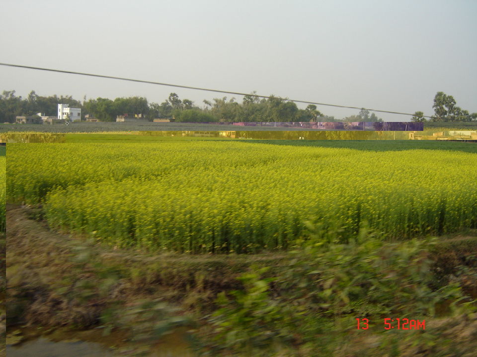 Photo of Countryside Calmness: Bankura 4/20 by Sagnik Basu