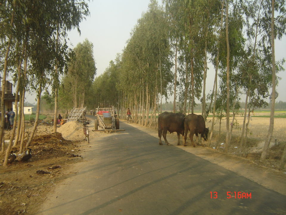 Photo of Countryside Calmness: Bankura 5/20 by Sagnik Basu