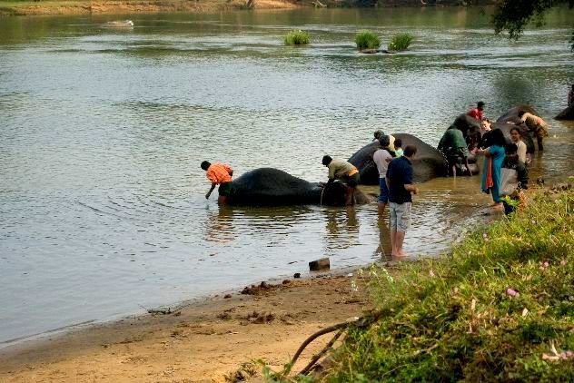 Photo of Calm, Serene and Divine: Coorg Calling ! 7/11 by Sagnik Basu