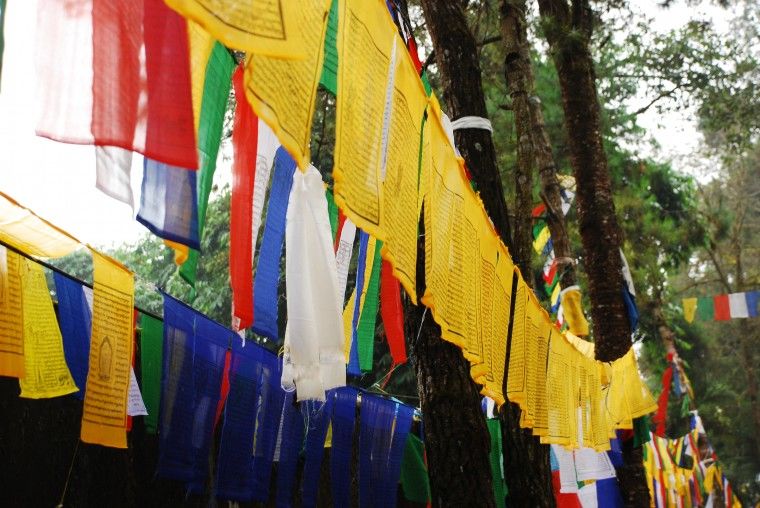 Photo of Weekend gaze of Gangtok. 7/8 by Sagnik Basu