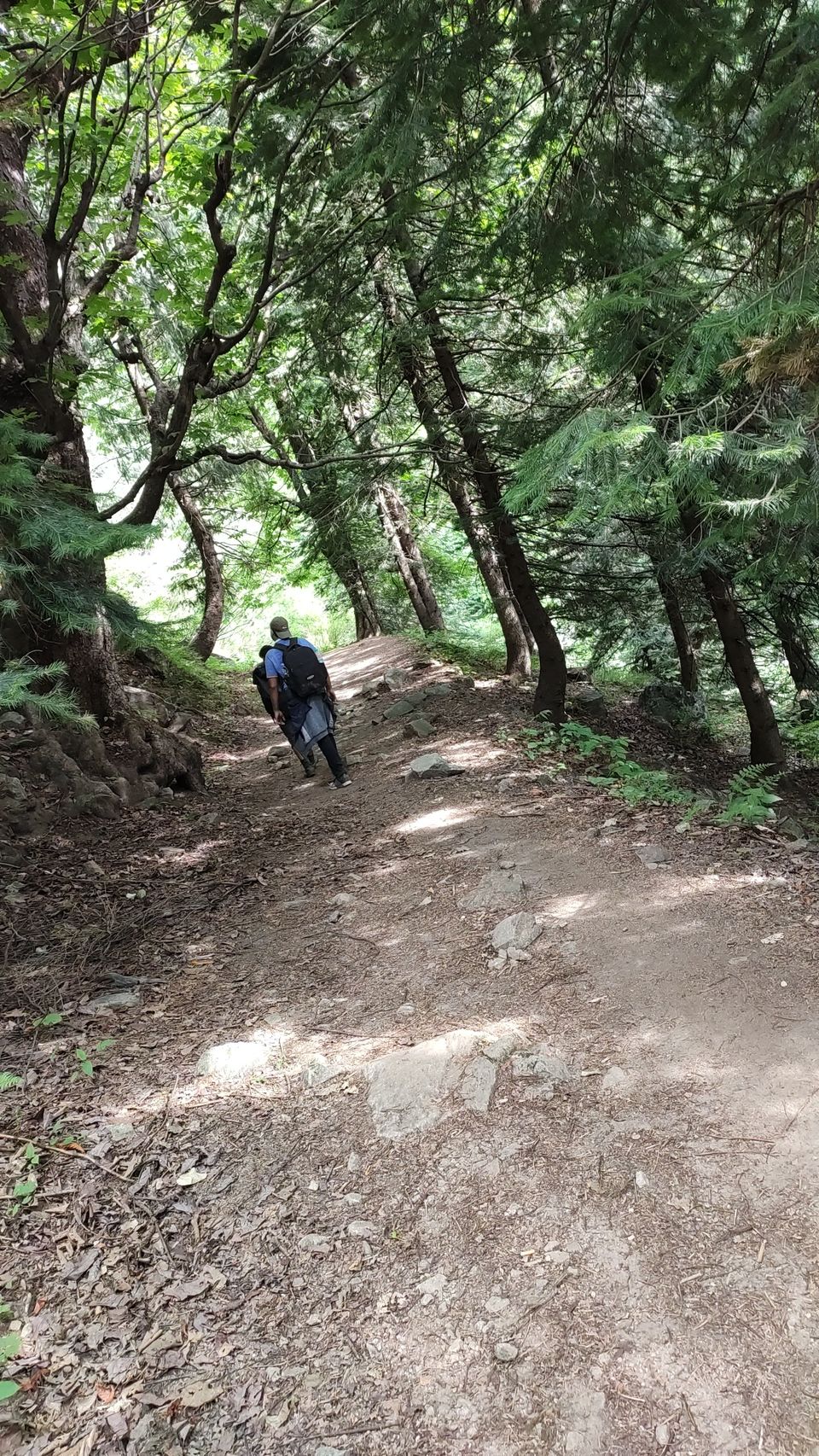 Photo of Bhrigu lake trek full of Adventure by Bhavesh Nazwani