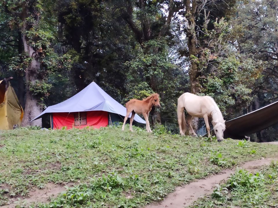 Photo of Bhrigu lake trek full of Adventure by Bhavesh Nazwani
