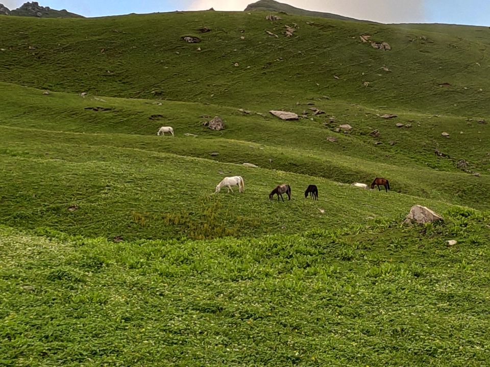 Photo of Bhrigu lake trek full of Adventure by Bhavesh Nazwani