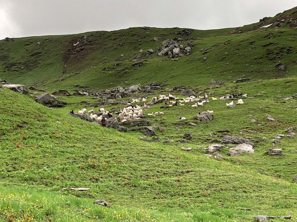 Photo of Bhrigu lake trek full of Adventure by Bhavesh Nazwani