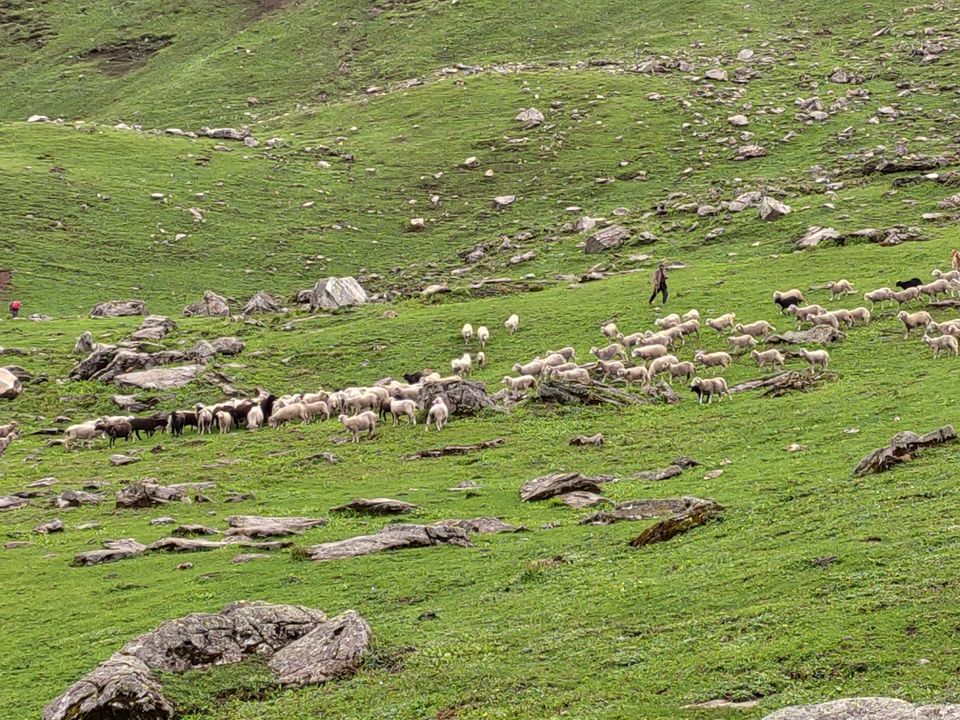 Photo of Bhrigu lake trek full of Adventure by Bhavesh Nazwani