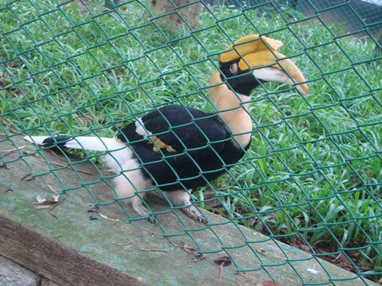 Photo of Bannerghatta National Park, Bangalore, Karnataka, India by Anushka Rathee