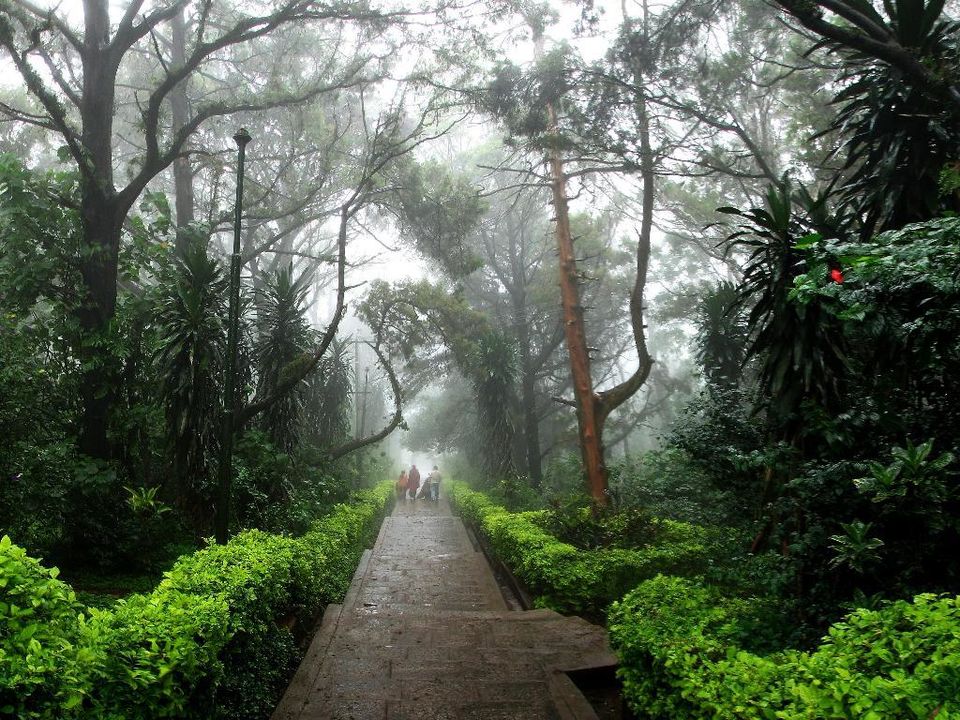 Photo of Nandi Hills, Karnataka, India by Anushka Rathee