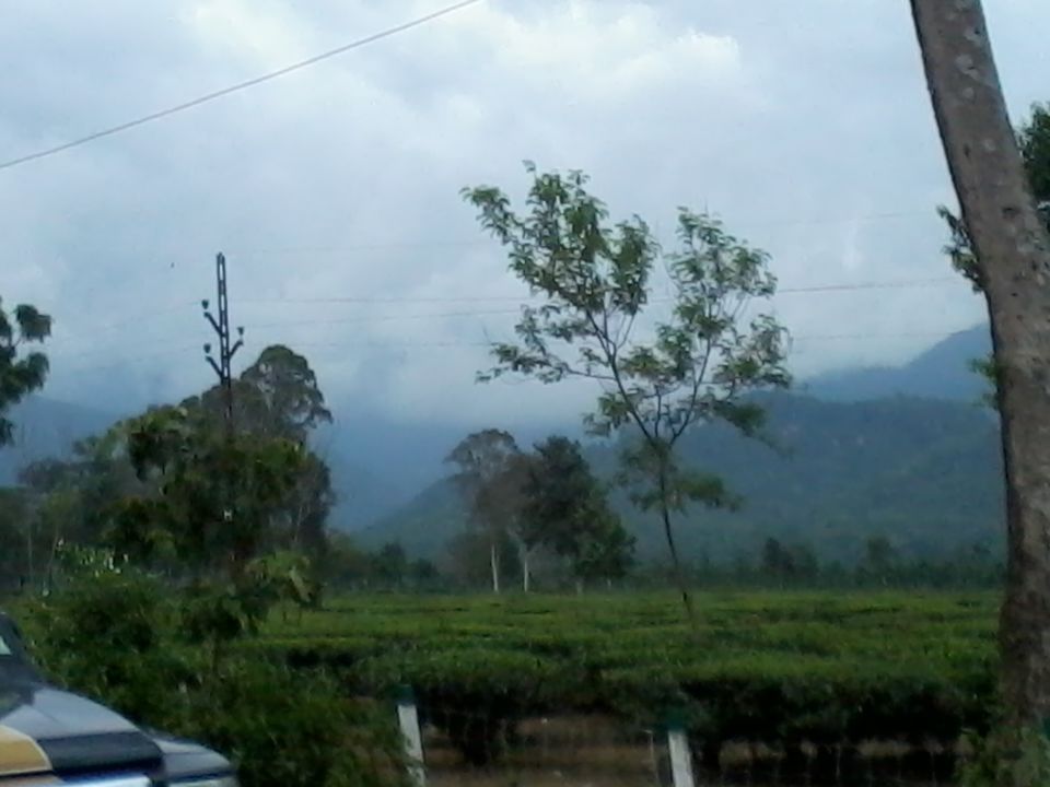 Photo of Into the Bengal wilderness - A trip to Sukna by Anushka Rathee