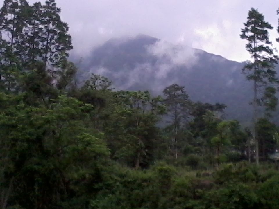 Photo of Into the Bengal wilderness - A trip to Sukna by Anushka Rathee