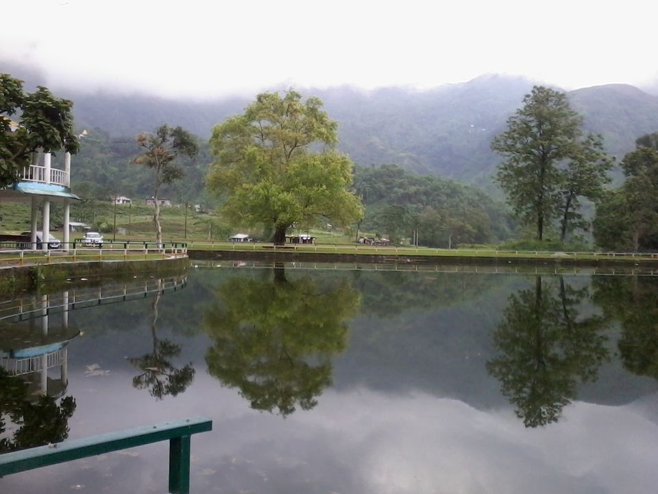 Photo of Into the Bengal wilderness - A trip to Sukna by Anushka Rathee