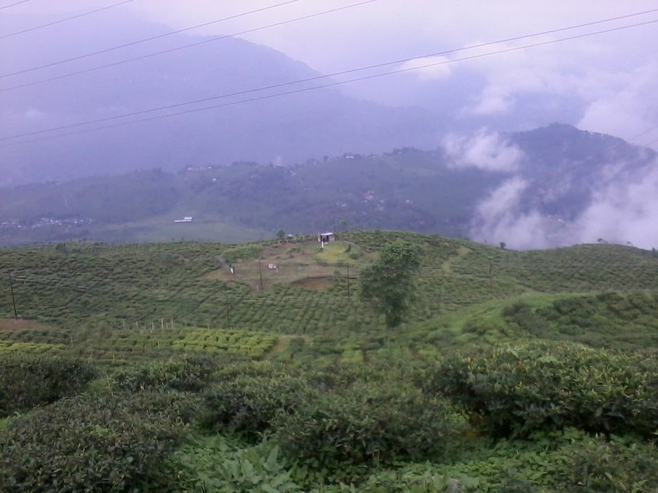 Photo of Into the Bengal wilderness - A trip to Sukna by Anushka Rathee