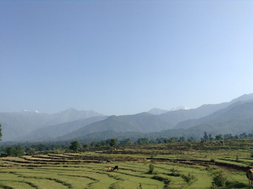 Photo of Trekking in Bir !!! 2/5 by Keshav Chhabra