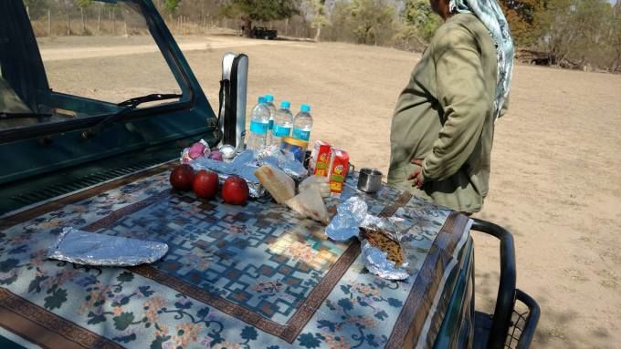 Photo of Pench Tiger Reserve, Seoni, Madhya Pradesh, India by FoolishTraveller
