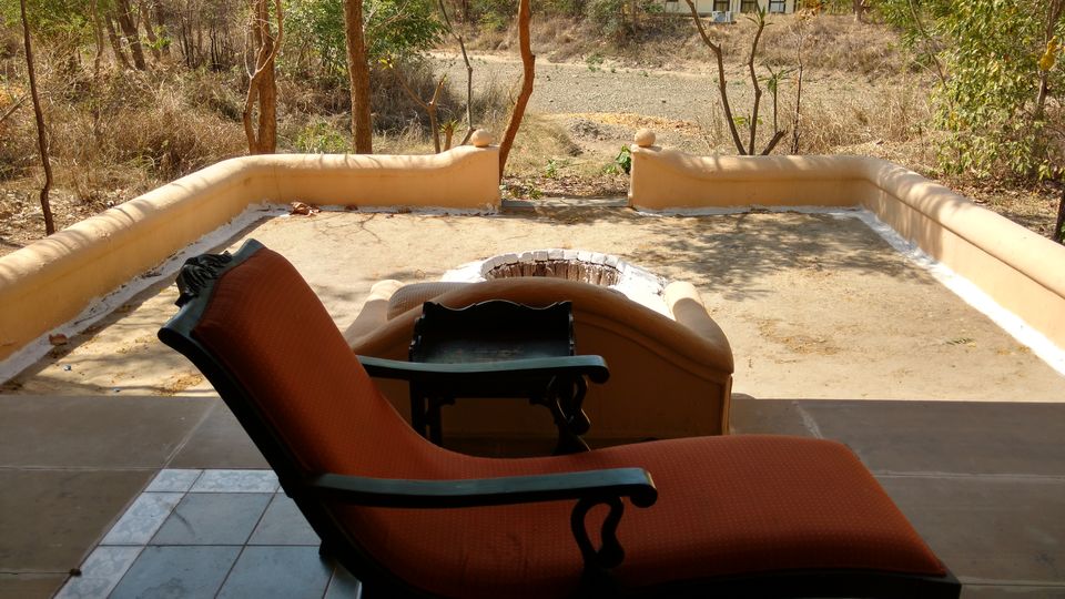 Photo of Pench, Collarwali and the Bengali by FoolishTraveller