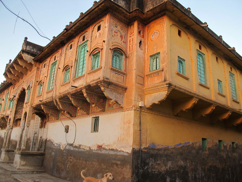 Photo of Grandeur of Shekawati 1/12 by Aparna Acharya