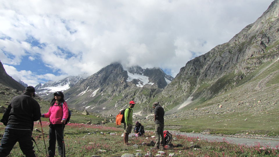 Photo of On the Bakkerwaal's trail at Hampta 6/14 by Aparna Acharya