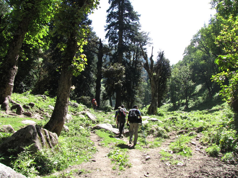 Photo of On the Bakkerwaal's trail at Hampta 11/14 by Aparna Acharya