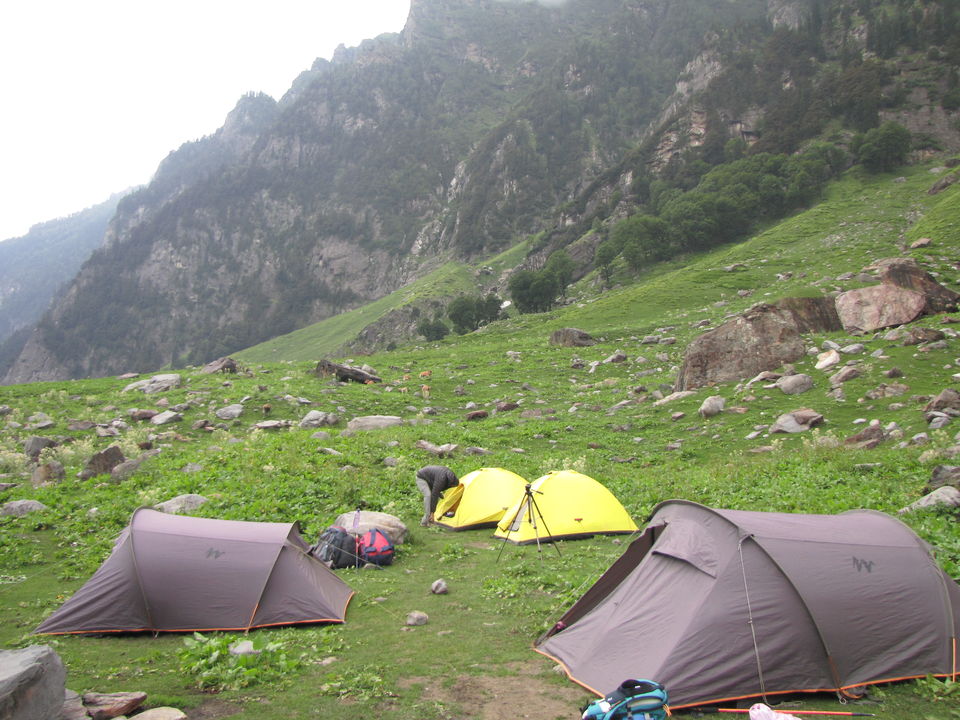 Photo of On the Bakkerwaal's trail at Hampta 13/14 by Aparna Acharya