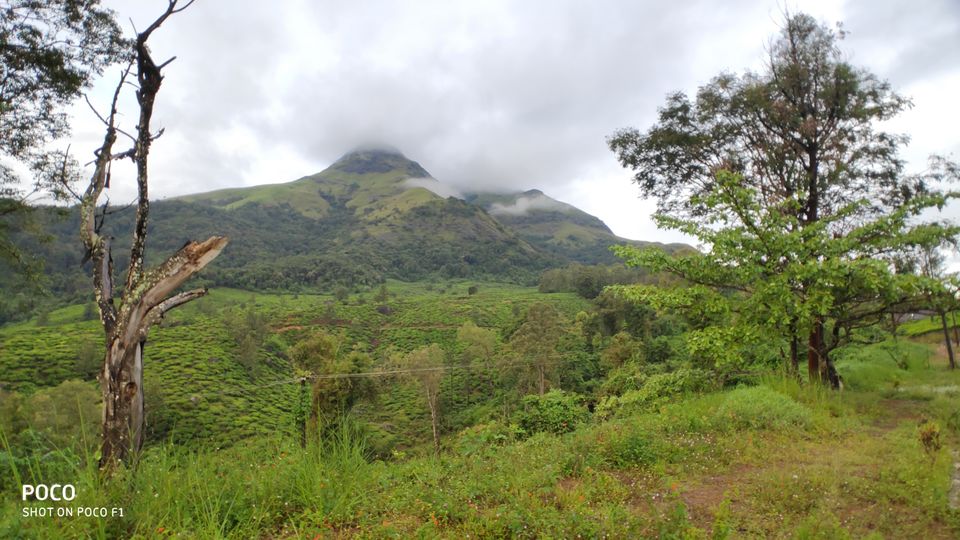 Best of Kerala : Wayanad - Tripoto