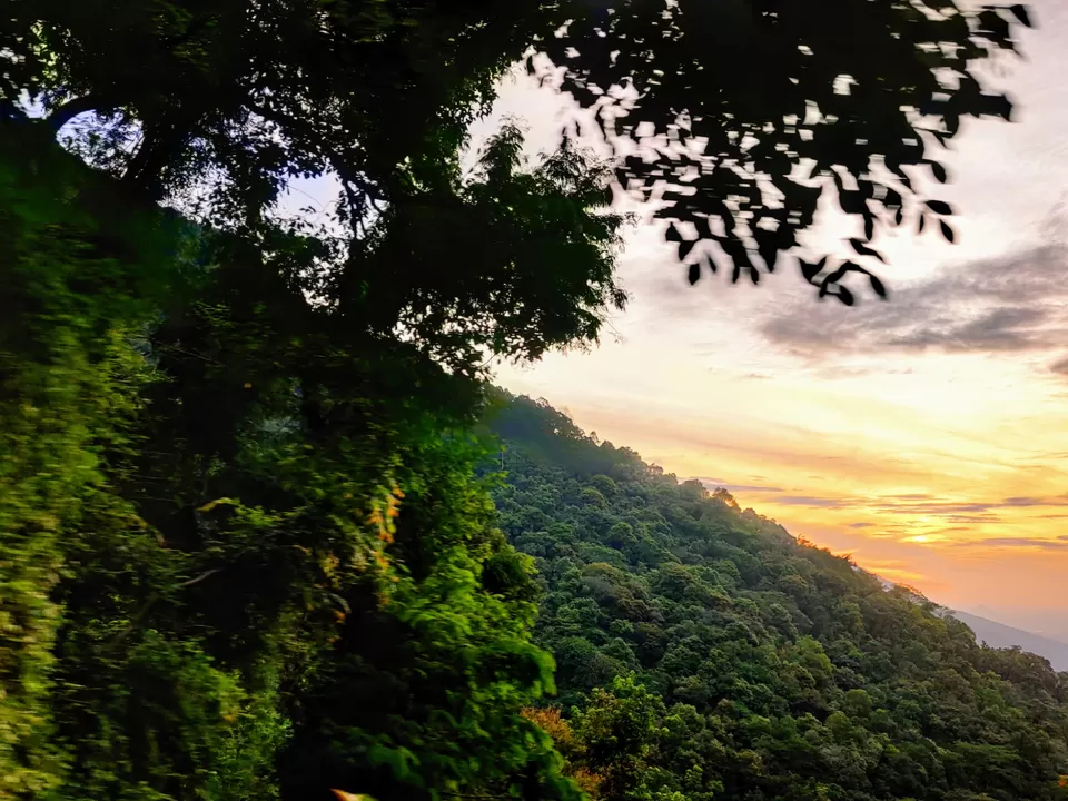 Photo of Off to the Queen of Hills-Ooty and Coonoor by Aishwariya Roy