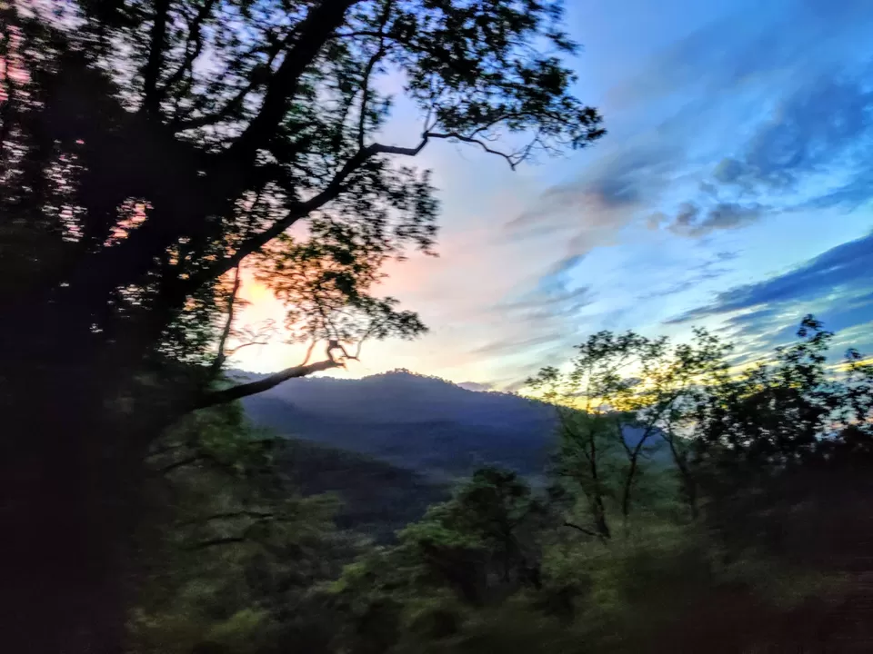 Photo of Off to the Queen of Hills-Ooty and Coonoor by Aishwariya Roy