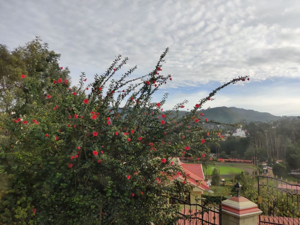 Photo of Off to the Queen of Hills-Ooty and Coonoor by Aishwariya Roy