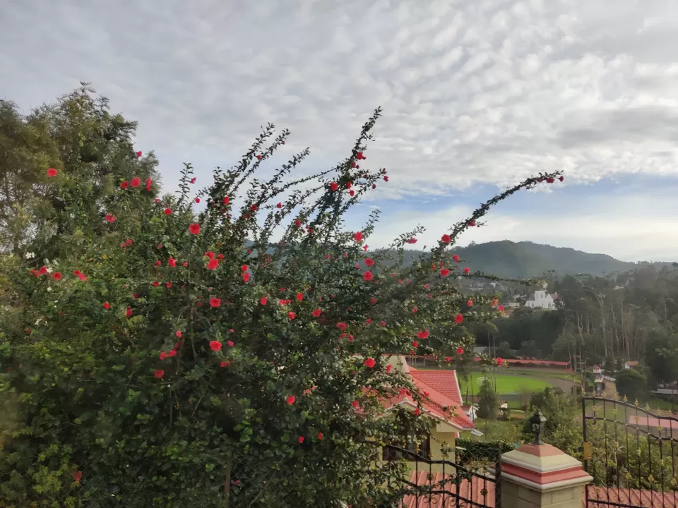 Photo of Off to the Queen of Hills-Ooty and Coonoor by Aishwariya Roy