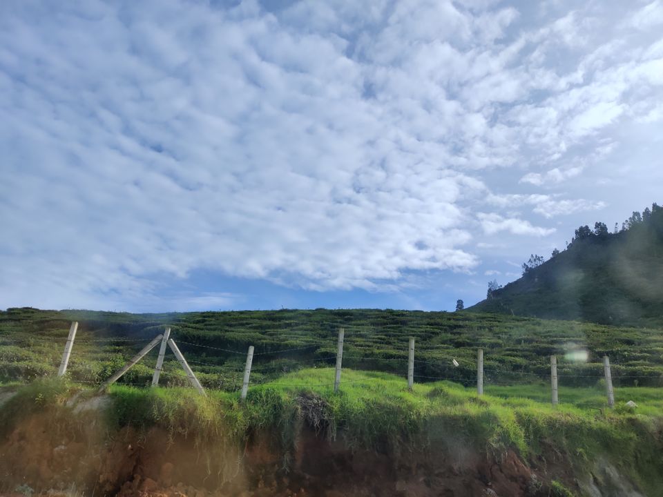 Photo of Off to the Queen of Hills-Ooty and Coonoor by Aishwariya Roy
