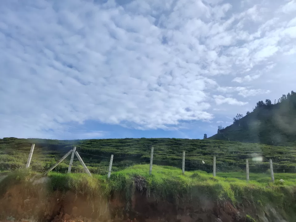 Photo of Off to the Queen of Hills-Ooty and Coonoor by Aishwariya Roy