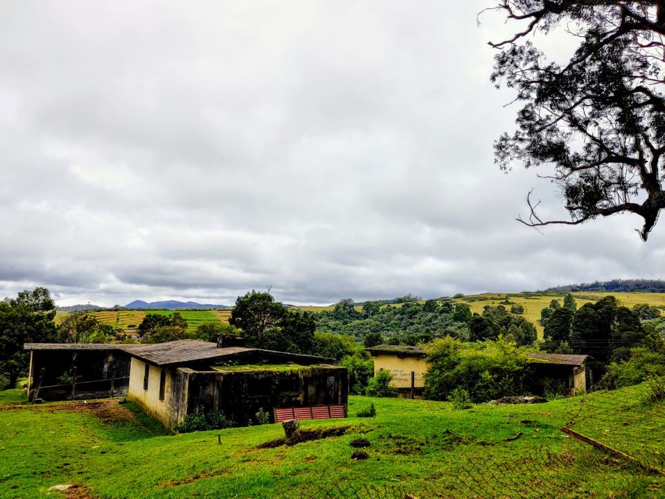 Photo of Wenlock Downs 9th Mile Shooting Point, Coimbatore-Ooty-Gundlupet Highway, Tamil Nadu, India by Aishwariya Roy