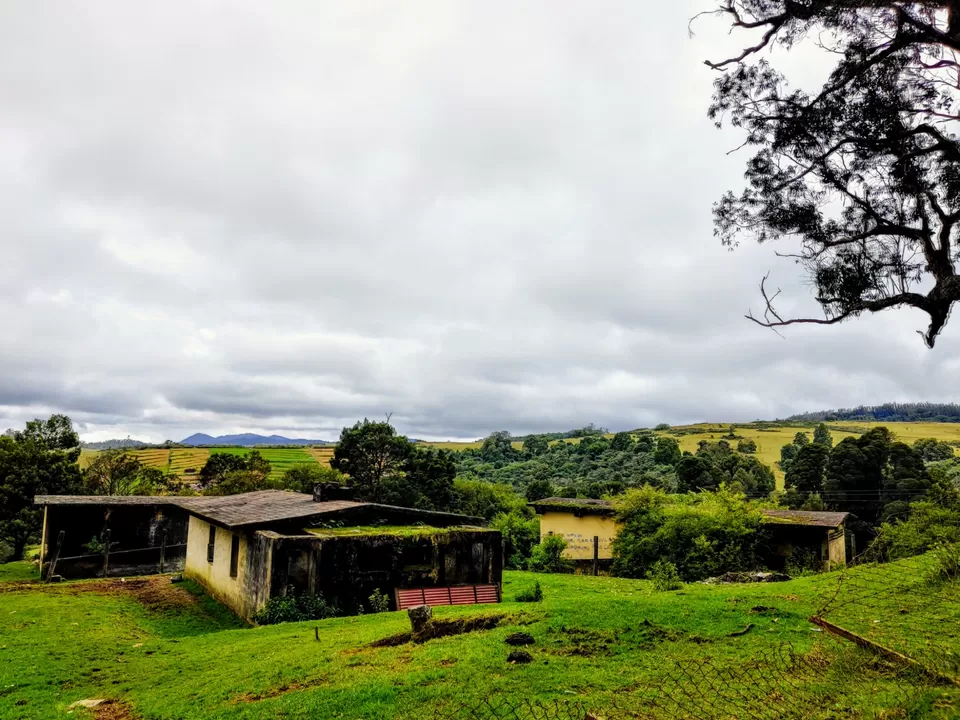 Photo of Wenlock Downs 9th Mile Shooting Point, Coimbatore-Ooty-Gundlupet Highway, Tamil Nadu, India by Aishwariya Roy