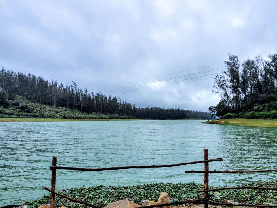 Photo of Pine Forest Shooting Spot, Nagapattinam - Coimbatore - Gundlupet Highway, Tamil Nadu, India by Aishwariya Roy