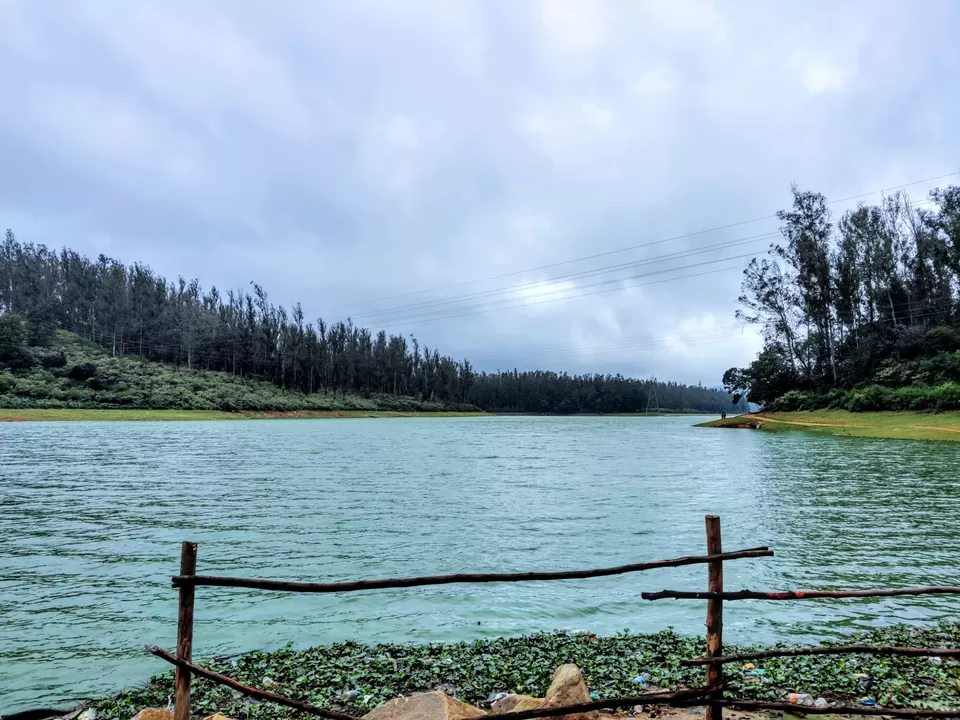 Photo of Pine Forest Shooting Spot, Nagapattinam - Coimbatore - Gundlupet Highway, Tamil Nadu, India by Aishwariya Roy