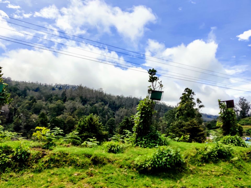 Photo of Pykara Lake, Tamil Nadu by Aishwariya Roy