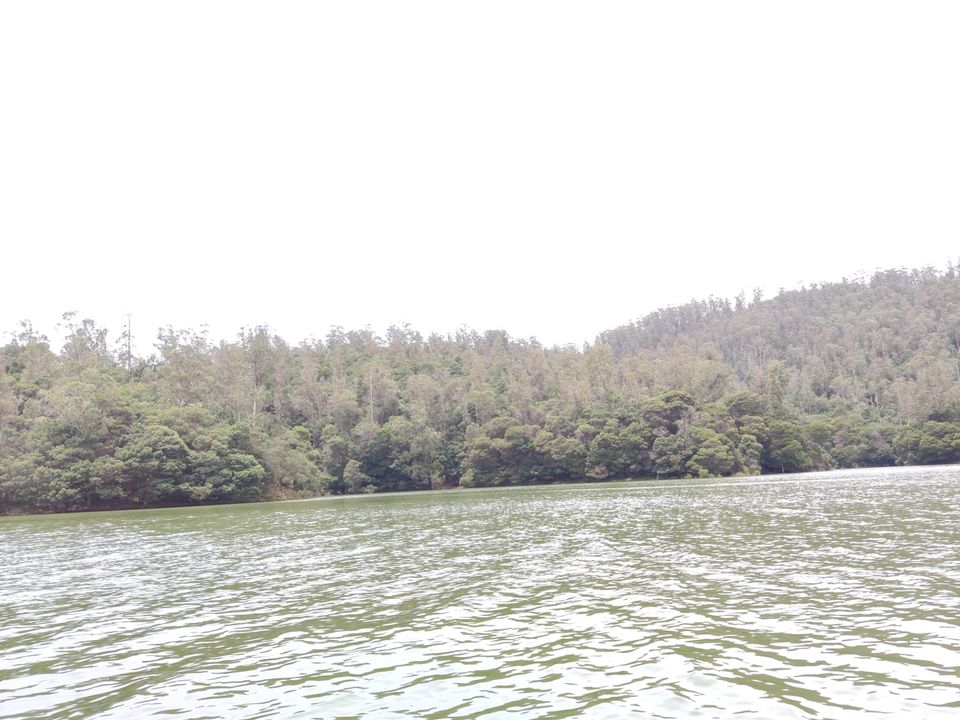 Photo of Pykara Lake, Tamil Nadu by Aishwariya Roy