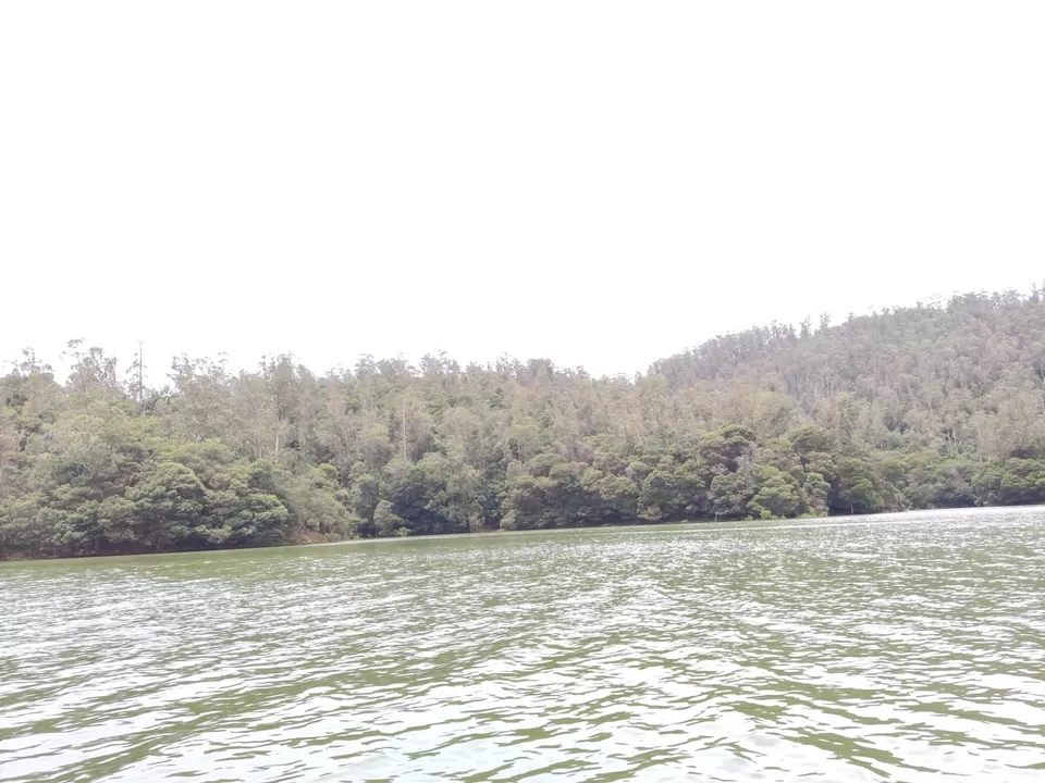 Photo of Pykara Lake, Tamil Nadu by Aishwariya Roy