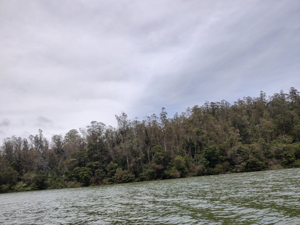 Photo of Pykara Lake, Tamil Nadu by Aishwariya Roy