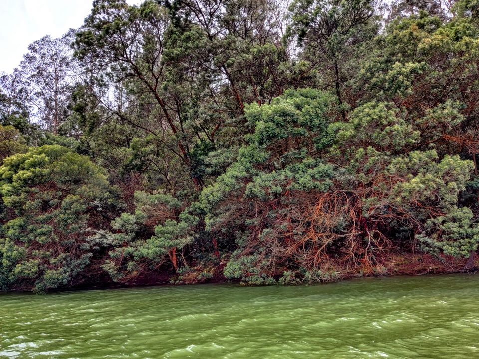 Photo of Pykara Lake, Tamil Nadu by Aishwariya Roy