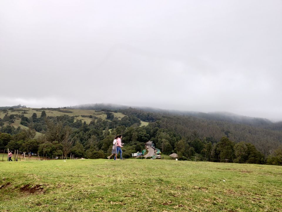 Photo of Wenlock Downs 9th Mile Shooting Point, Coimbatore-Ooty-Gundlupet Highway, Tamil Nadu, India by Aishwariya Roy