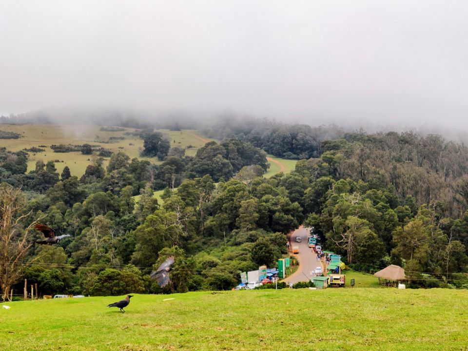 Photo of Wenlock Downs 9th Mile Shooting Point, Coimbatore-Ooty-Gundlupet Highway, Tamil Nadu, India by Aishwariya Roy