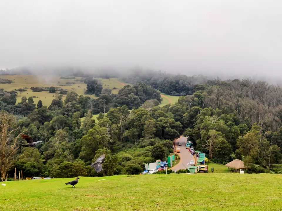 Photo of Wenlock Downs 9th Mile Shooting Point, Coimbatore-Ooty-Gundlupet Highway, Tamil Nadu, India by Aishwariya Roy