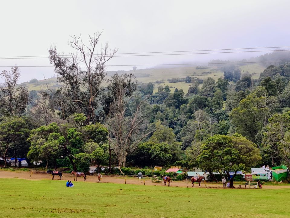 Photo of Wenlock Downs 9th Mile Shooting Point, Coimbatore-Ooty-Gundlupet Highway, Tamil Nadu, India by Aishwariya Roy