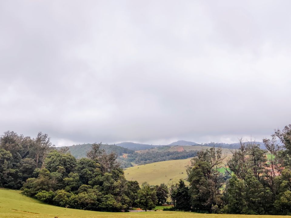 Photo of Wenlock Downs 9th Mile Shooting Point, Coimbatore-Ooty-Gundlupet Highway, Tamil Nadu, India by Aishwariya Roy