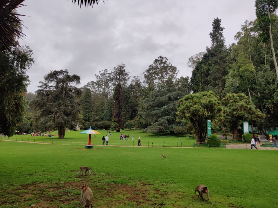 Photo of Government Botanical Garden, Vannarapettai, Ooty, Tamil Nadu, India by Aishwariya Roy
