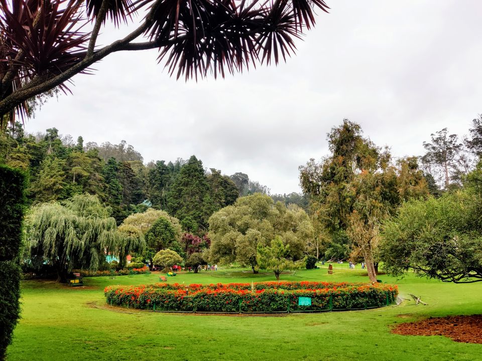 Photo of Government Botanical Garden, Vannarapettai, Ooty, Tamil Nadu, India by Aishwariya Roy
