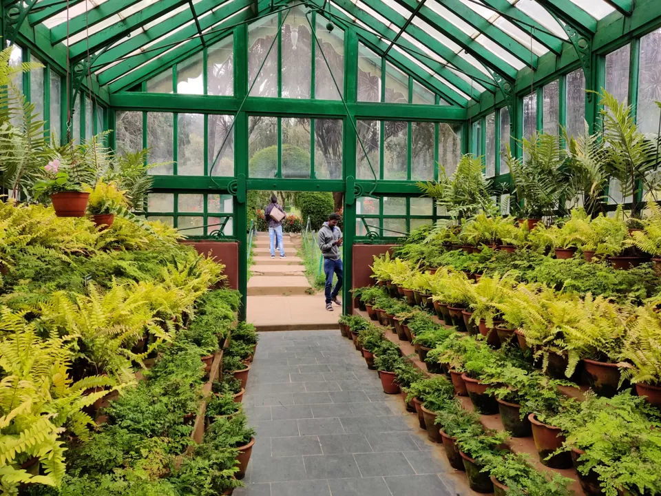 Photo of Government Botanical Garden, Vannarapettai, Ooty, Tamil Nadu, India by Aishwariya Roy