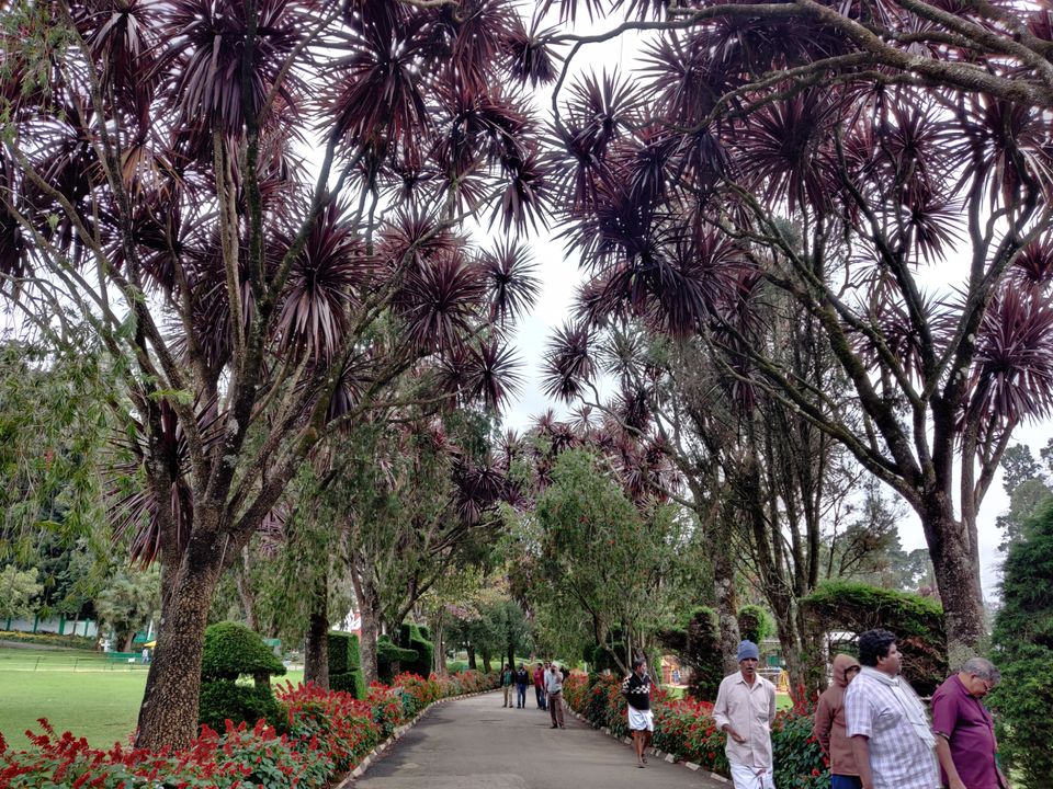 Photo of Government Botanical Garden, Vannarapettai, Ooty, Tamil Nadu, India by Aishwariya Roy