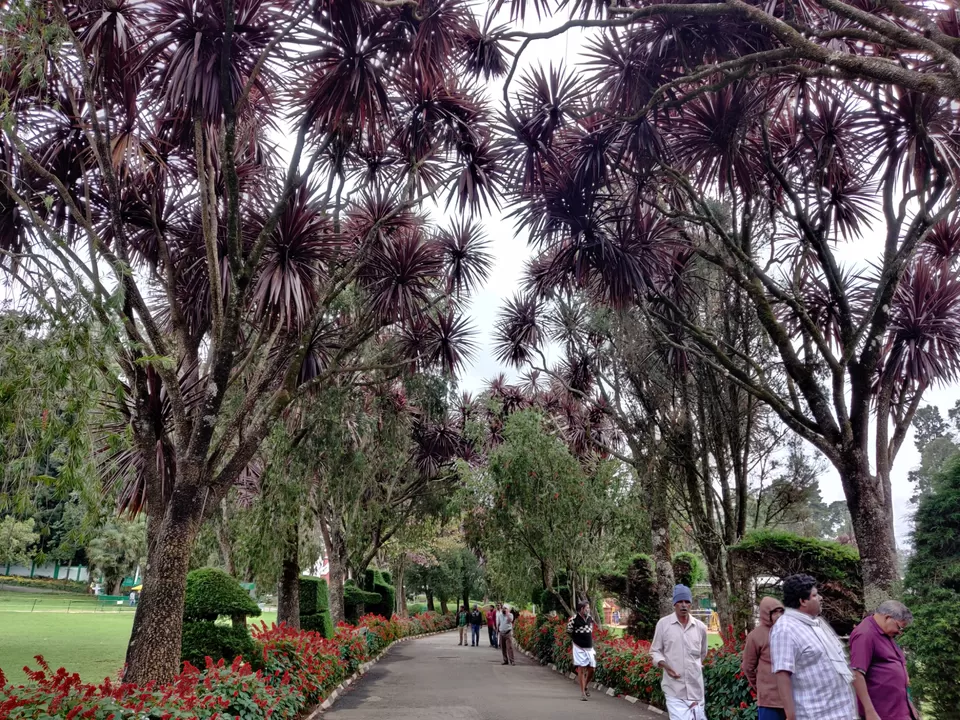 Photo of Government Botanical Garden, Vannarapettai, Ooty, Tamil Nadu, India by Aishwariya Roy