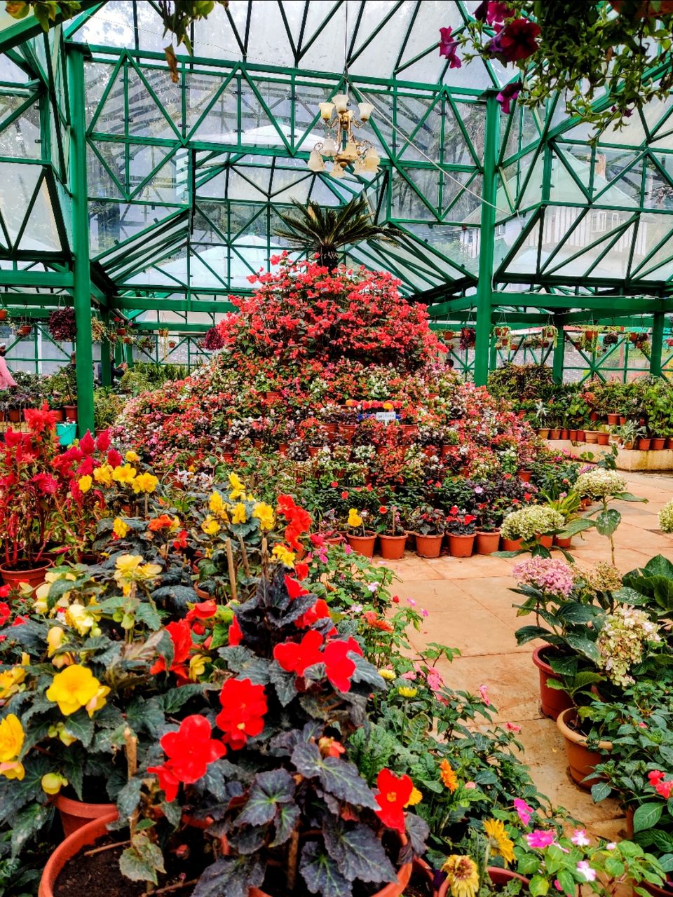Photo of Government Botanical Garden, Vannarapettai, Ooty, Tamil Nadu, India by Aishwariya Roy